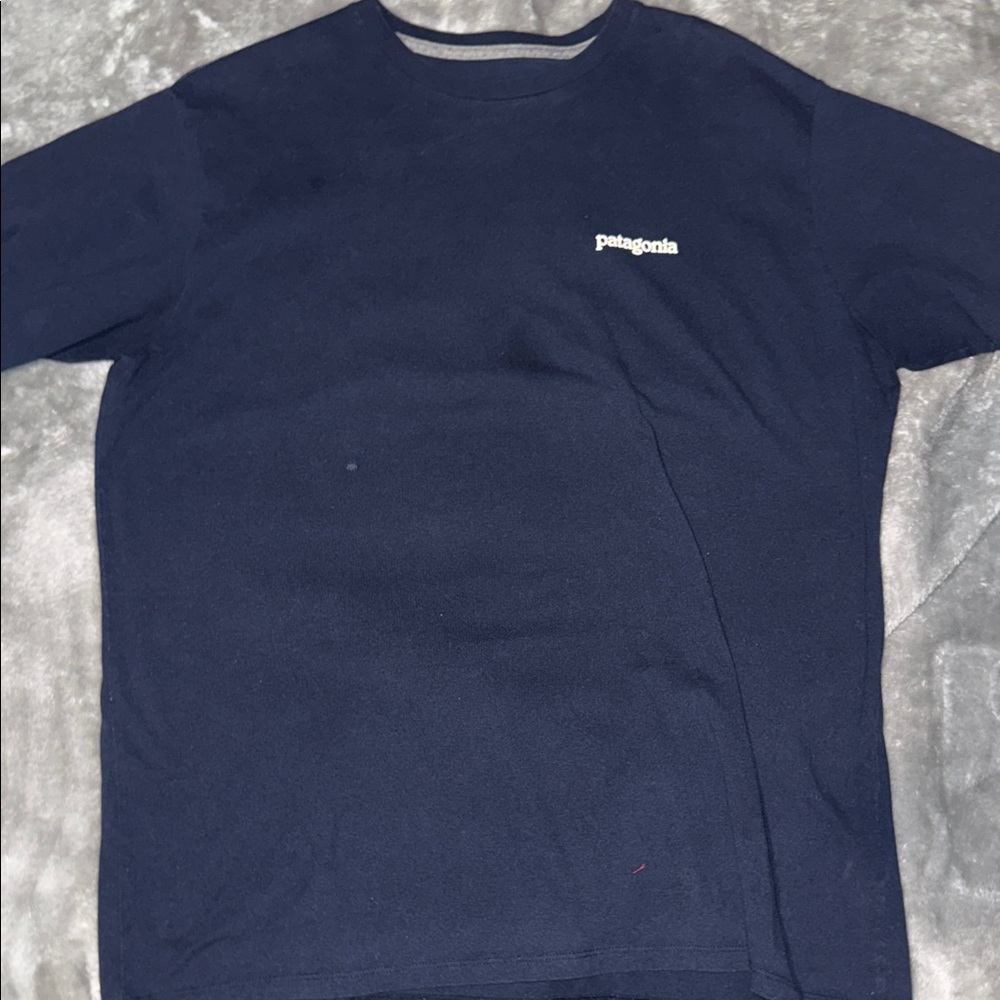 Patagonia Men's Navy Short Sleeve Tee